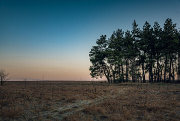 Obraz premium Winter moring among fields