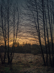 Fototapeta premium Winter moring among fields