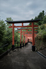 Fototapeta na wymiar Torii