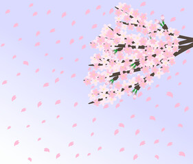 桜の花のイラスト