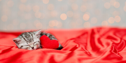 Tabby kitten sleeps with red heart  on satin bedding. Valentines day concept. Empty space for text