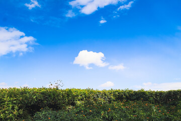 A baby cloud making it's way through over a green mountain top.