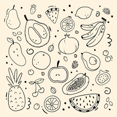 Vector set of different fruits and berries in doodle style. Simple vector doodle illustration. Fruits isolated on background.