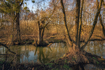 Obraz premium Sunrise on river