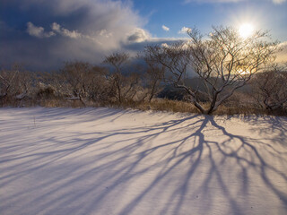 冬の平尾台貫山山頂からの朝日