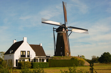 Molino de viento 