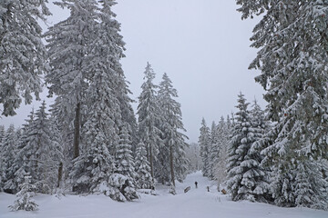 Wanderung zum Brocken
