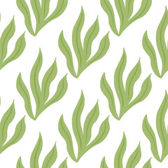 Fototapeta na wymiar Isolated seaweeds greenseamless doodle pattern in doodle style. White background. Flora aquatic backdrop.