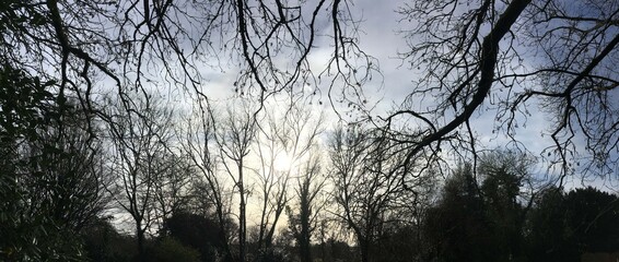 Paysage de campagne à Barré Briec en Bretagne Finistère Cornouailles France	