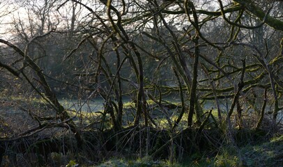 Paysage de campagne à Barré Briec en Bretagne Finistère Cornouailles France	