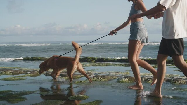 Tracking shot of legs of unrecognizable couple of people and dog walking along rocky ocean coast, waves crashing on shore, beautiful sunny summer day