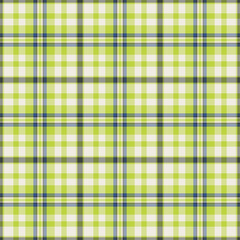 Plaid seamless pattern. Vector background of textile ornament. Flat fabric design.