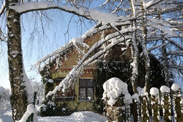Wooden hut covered with green ivy in a beautiful winter scenery. Szklana Gora, Kashubia, Poland