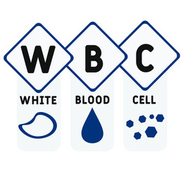 WBC - White Blood Cell  acronym. medical  concept background.  vector illustration concept with keywords and icons. lettering illustration with icons for web banner, flyer, landing page