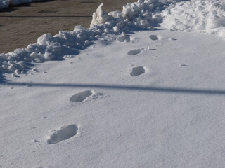 Spuren im Schnee, Schnee, Winter, Winterlandschaft
