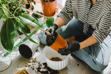 woman transplanting flowers in bigger pots at home