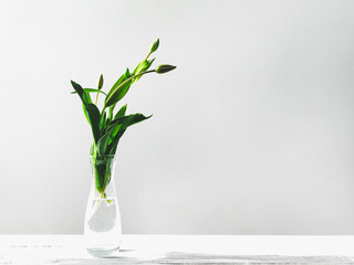Beautiful flowers standing in a vase on the table. Closeup, no people, side view