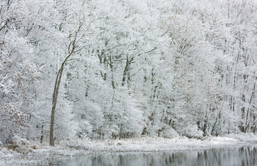 Landscape of the snow flocked shoreline of West Gilkey Lake, Michigan, USA