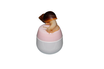 Skin rejuvenation cosmetics on white background with snail, cream with snail mucin, skin hydration, spa.