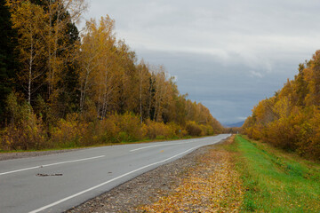 Fototapeta premium road in autumn forest