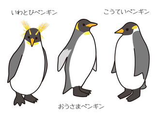 Obraz premium 皇帝ペンギン・おうさまペンギン・いわとびペンギン
