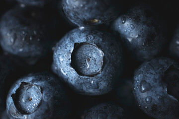 Blueberries covered by water drops. Macro photography of fresh blueberries. Ripe blueberries background. Blueberries texture. Food photography collection.