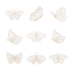 Set of hand drawn butterflies. Vector illustration