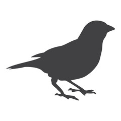 Sparrow silhouette, icon. Vector illustration on a white background.