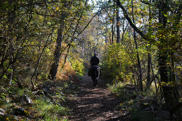 A horse rider in the autumn landscape near Malchina in Trieste Province, Friuli-Venezia Giulia,...