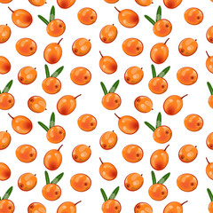 Color seamless pattern of leaves and sea buckthorn on a white background. 