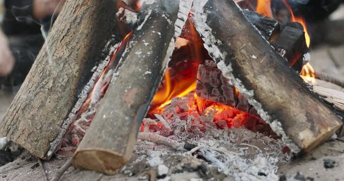 Bonfire flame closeup on a picnic on nature. Burning coals of pine firewood. Camping. Cooking food on an open fire, meat frying concept. Weekend with friends in the woods with camping.