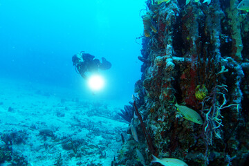 Diving in the Caribbean at the RMS Rhone, beautiful environment with beautiful animals, the ship sank 1867 at Salt Island and 123 people lost there lives, 