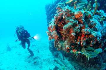 Diving in the Caribbean at the RMS Rhone, beautiful environment with beautiful animals, the ship sank 1867 at Salt Island and 123 people lost there lives, 
