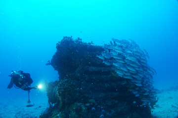 Diving in the Caribbean at the RMS Rhone, beautiful environment with beautiful animals, the ship sank 1867 at Salt Island and 123 people lost there lives, 