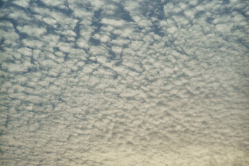 Colorful clouds in the sky. Background image.