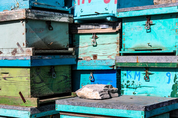 griechische Erinnerungen