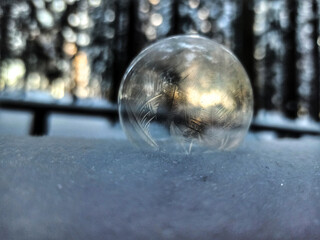 Soap bubble in the cold