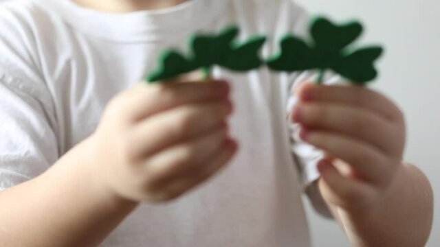 Green clover close up in hands of little boy  on St. Patrick's Day