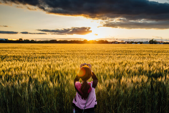 A brunette girl is taking pictures of rice field during sunset.