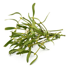 Fototapeta premium Green mistletoe with berries.