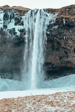 Water falls in the middle of the forest