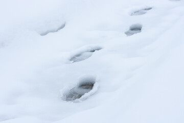 Fototapeta na wymiar Shoe marks in wet snow