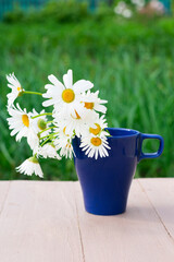 Vertical format photo of white chamomile flowers in blue mug on green blurred background with bokeh effect