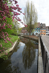 Fototapeta premium Colmar colombage et reflets