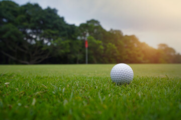 Golf ball on green in the evening golf course with sunshine in thailand.