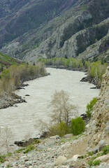 Fototapeta na wymiar the river in the mountains