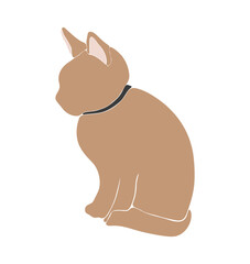 Abstract cat vector, boho cute animal isolated, adorable cat for print, minimalist graphic elements