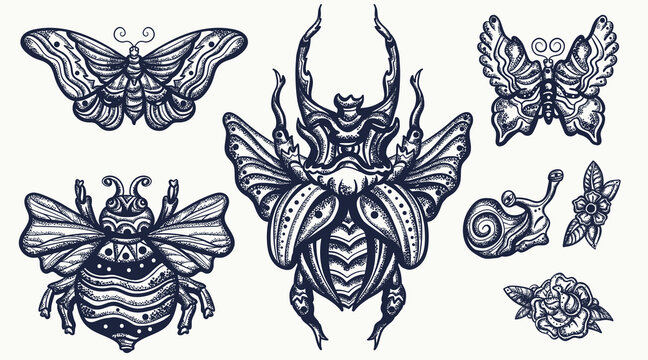 Insects. Stag beetle, bee, bumblebee, butterfly and snail. Old school tattoo vector art. Hand drawn cartoon character set. Isolated on white. Traditional tattooing style