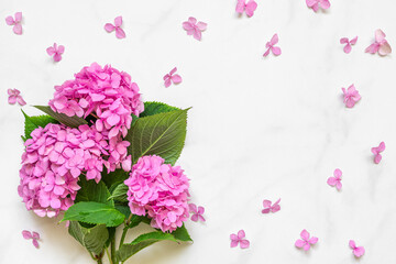 Obraz na płótnie Canvas Pink hydrangea flowers bouquet with frame made of petals on white background with copy space. top view. flat lay