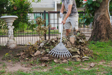 man use harrow collect leaf tree at garden home